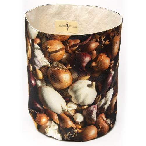 MARON BOUILLIE - Corbeille légumes Oignons