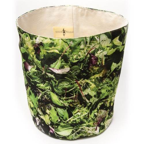 MARON BOUILLIE - Corbeille légumes Salades