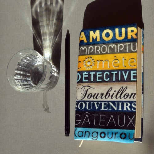 MARON BOUILLIE - Couverture de livre "Amour Impromptu"