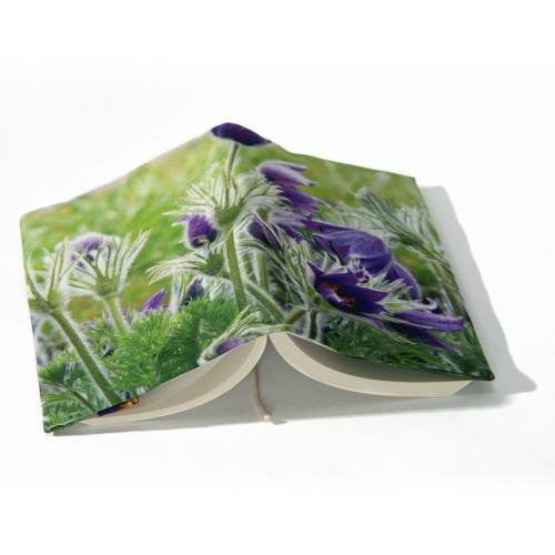 MARON BOUILLIE - Couvre livre Fleurs - Anémone Pulsatille