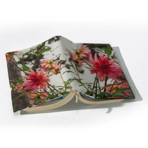 MARON BOUILLIE - Couvre livre Fleurs - Dahlia cultivé