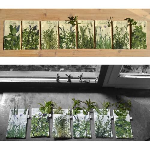 MARON BOUILLIE - Poche pour herbes aromatiques Romarin