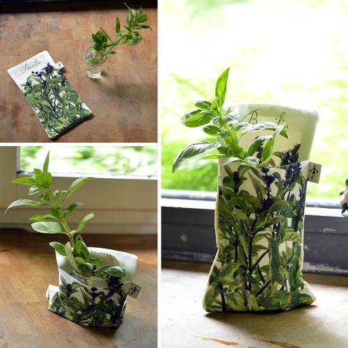 MARON BOUILLIE - Poche pour herbes aromatique Sauge