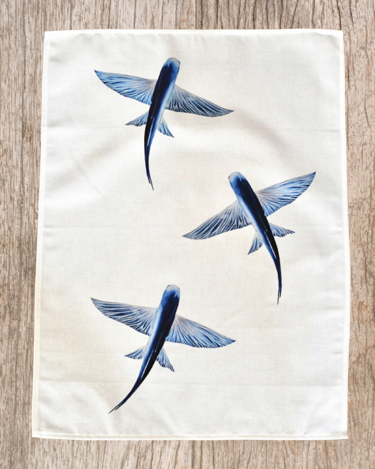 varek.illustrations - Torchon 100% coton : Les Poissons Volants