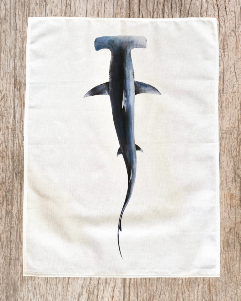 varek.illustrations - Torchon 100% coton : Le Requin Marteau