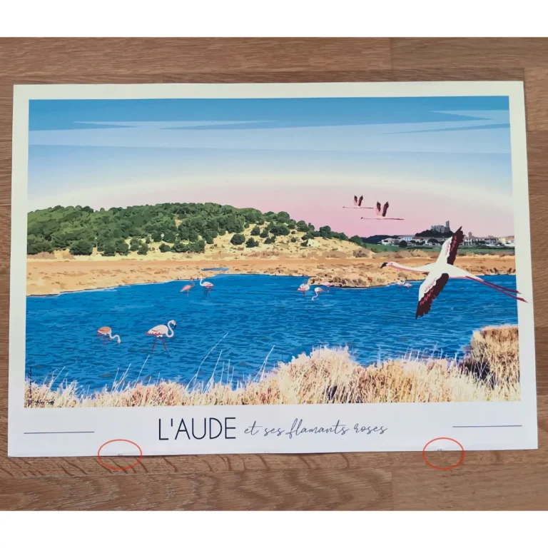 Foliove - Affiche Aude et ses flamants roses | Imparfaite 30x42 cm – 30x42 cm (A3)