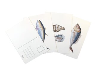 Lot de 15 cartes postales : La vie aquatique sur papier d’art par la marque Varek Illustrations Varek Illustrations - Lot de 15 cartes postales : La vie aquatique sur papier d’art