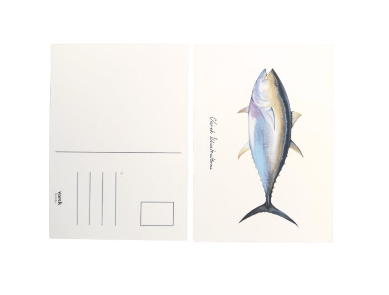 varek.illustrations - Lot de 15 cartes postales : La vie aquatique sur papier d'art
