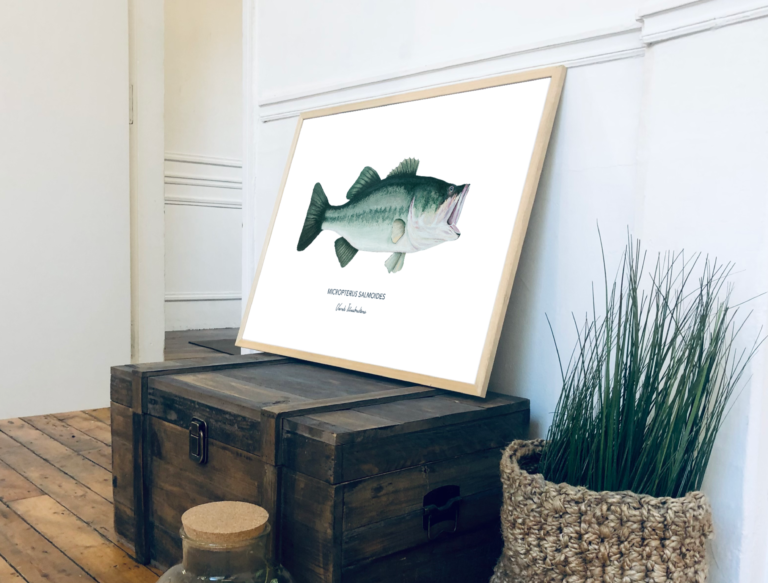 varek.illustrations - Affiche Le Black Bass – 50 x 70 cm / Avec Cadre en Chêne
