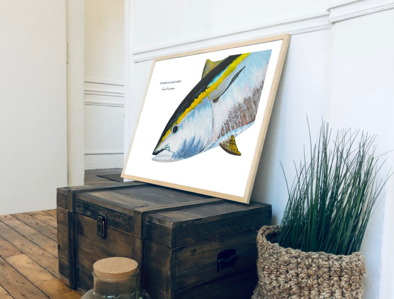 varek.illustrations - Affiche Le Thon Jaune – 50 x 70 cm / Avec Cadre en Chêne