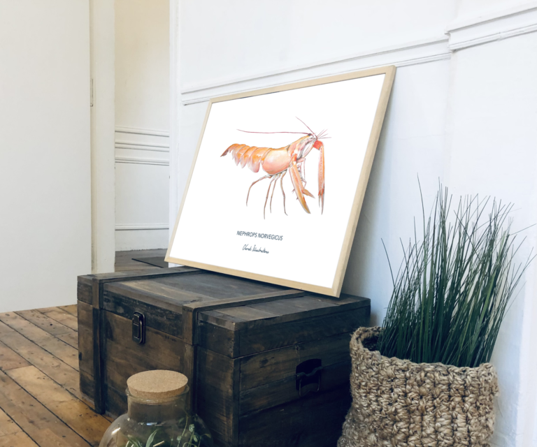 varek.illustrations - Affiche La Langoustine – 50 x 70 cm / Avec Cadre en Chêne