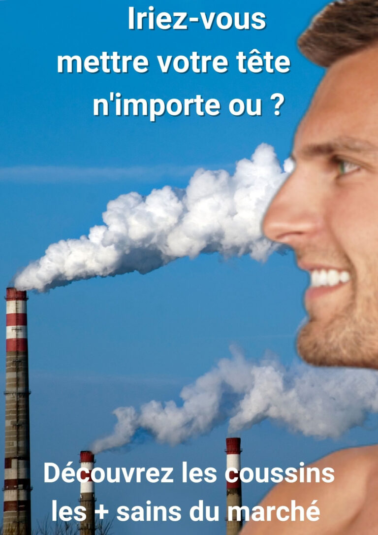 by l'Effet Clochette - Coussins déco aux formes originales 100% recyclé & dépollué