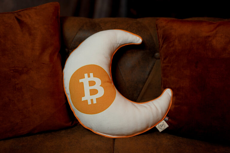 L'Effet Clochette - Coussins imprimés crypto à l'unité by l'Effet Clochette