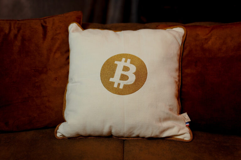 file 74 L'Effet Clochette - Coussin brodé Premium Bitcoin