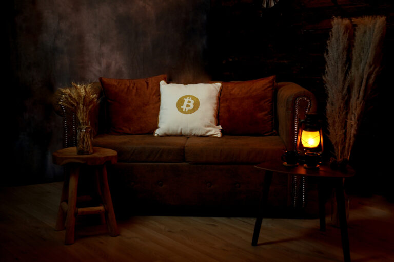 L'Effet Clochette - Coussin brodé Premium Bitcoin