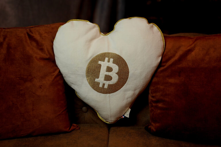 L'Effet Clochette - Coussin brodé Premium Bitcoin