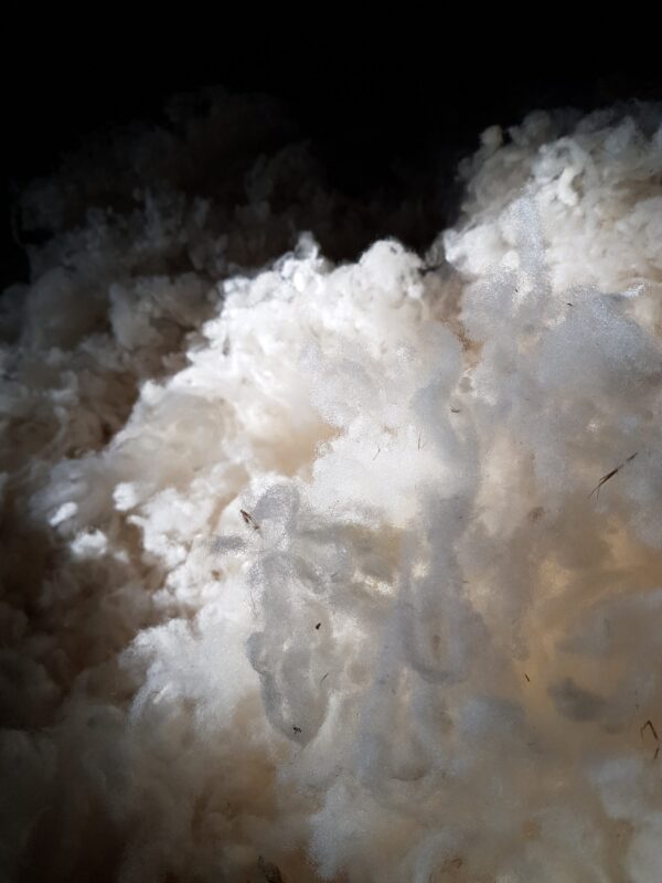 Made in Occitanie - Laine en flocons