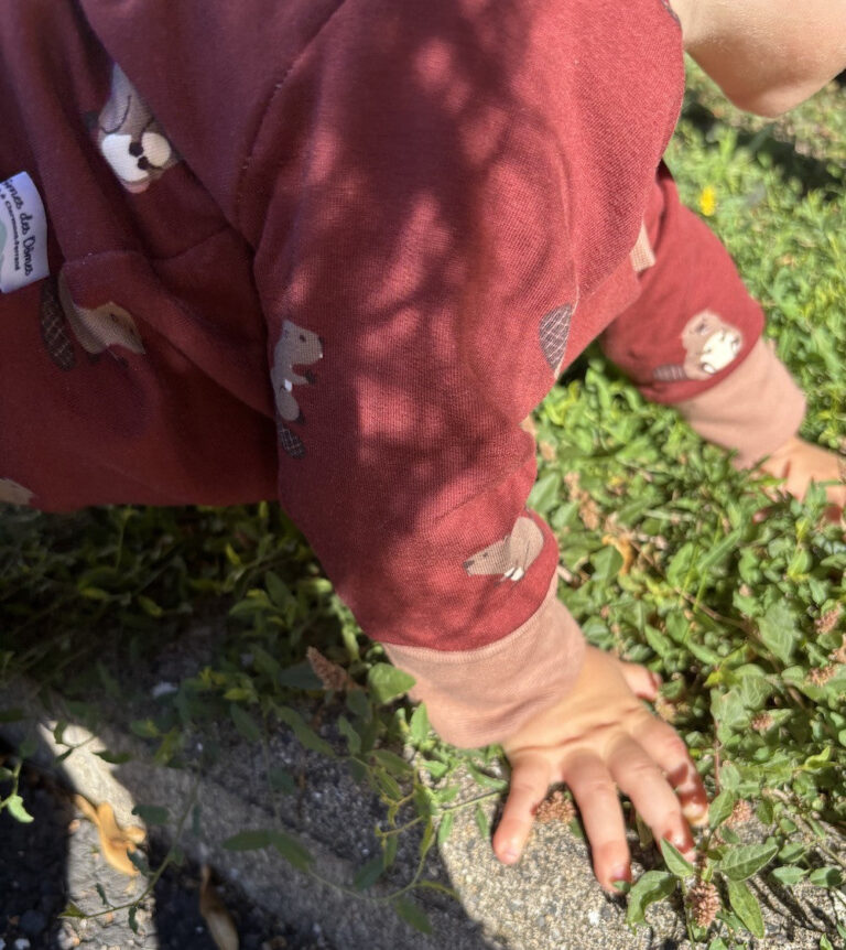 les Mômes des Dômes - Pull évolutif bébé et enfant - Jasper – Pull + pantalon uni bleu / 3 - 6 ans / 3 - 6 ans