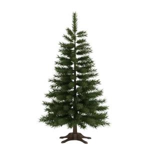 Sapins de Noël