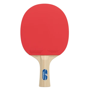 Raquettes de ping-pong