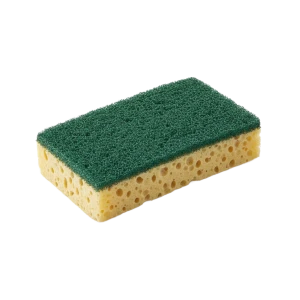 Éponges