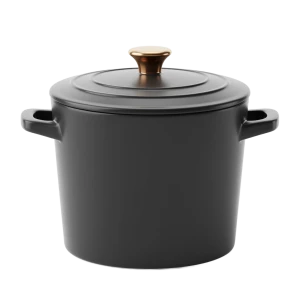 Appareils de cuisson