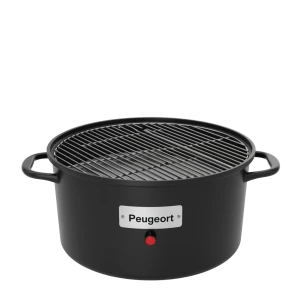 Barbecues et planchas