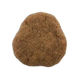 Croquettes pour chiens