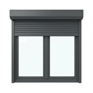 Portes et fenêtres